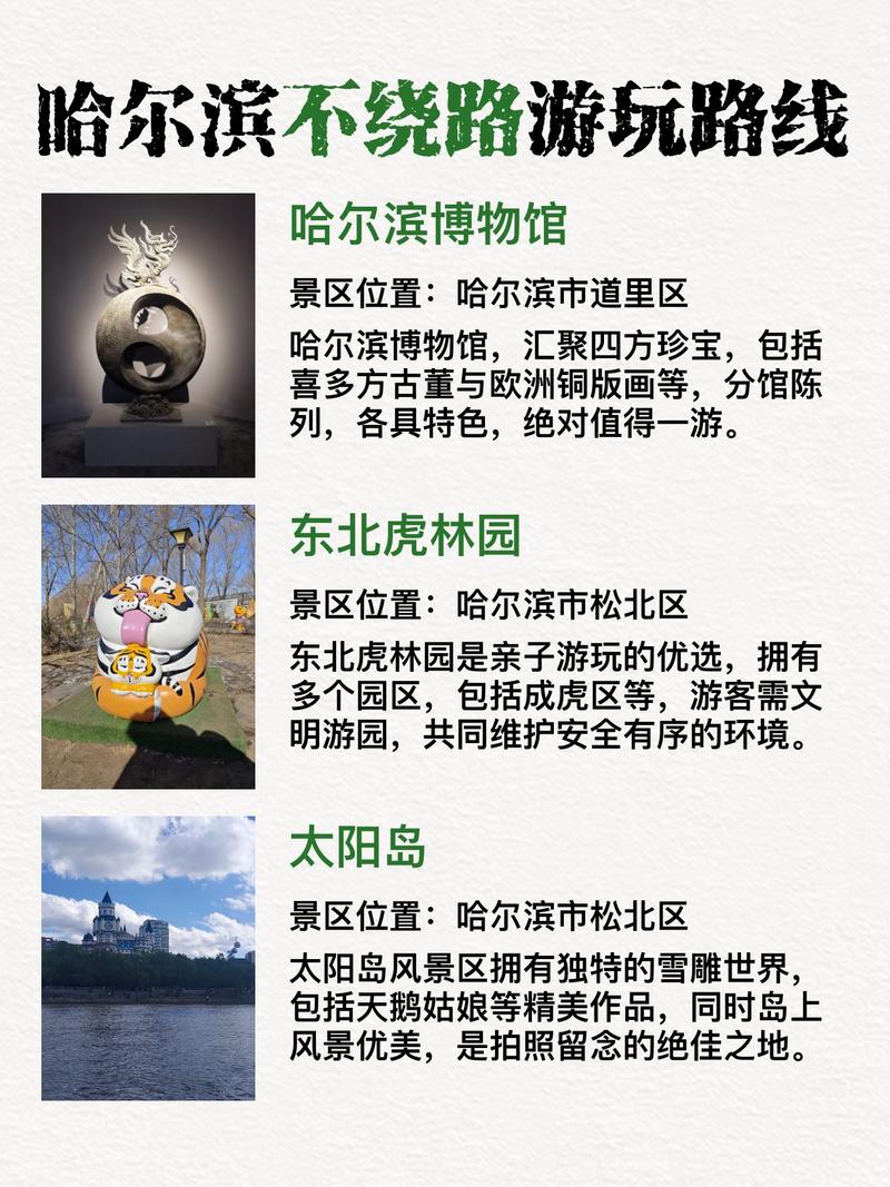 哈尔滨必去景点有哪些？-第2张图片-星月文旅