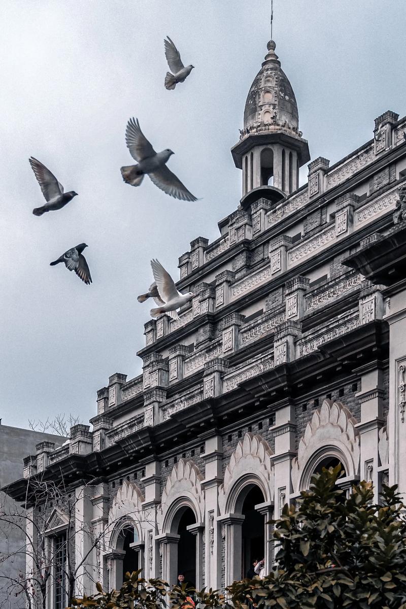 武汉2025有哪些必打卡新景点？-第3张图片-星月文旅