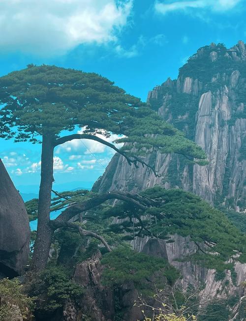 黄山周边必去景点有哪些？-第3张图片-星月文旅