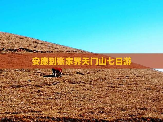 安康到张家界自驾游攻略-第1张图片-星月文旅