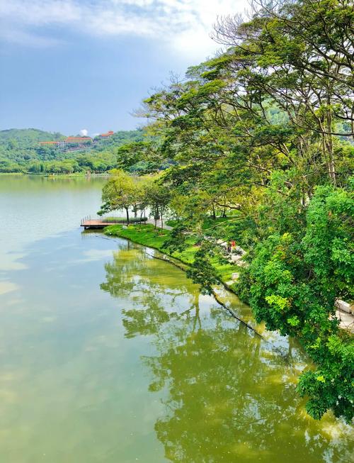 中山顺德必去景点有哪些？-第1张图片-星月文旅