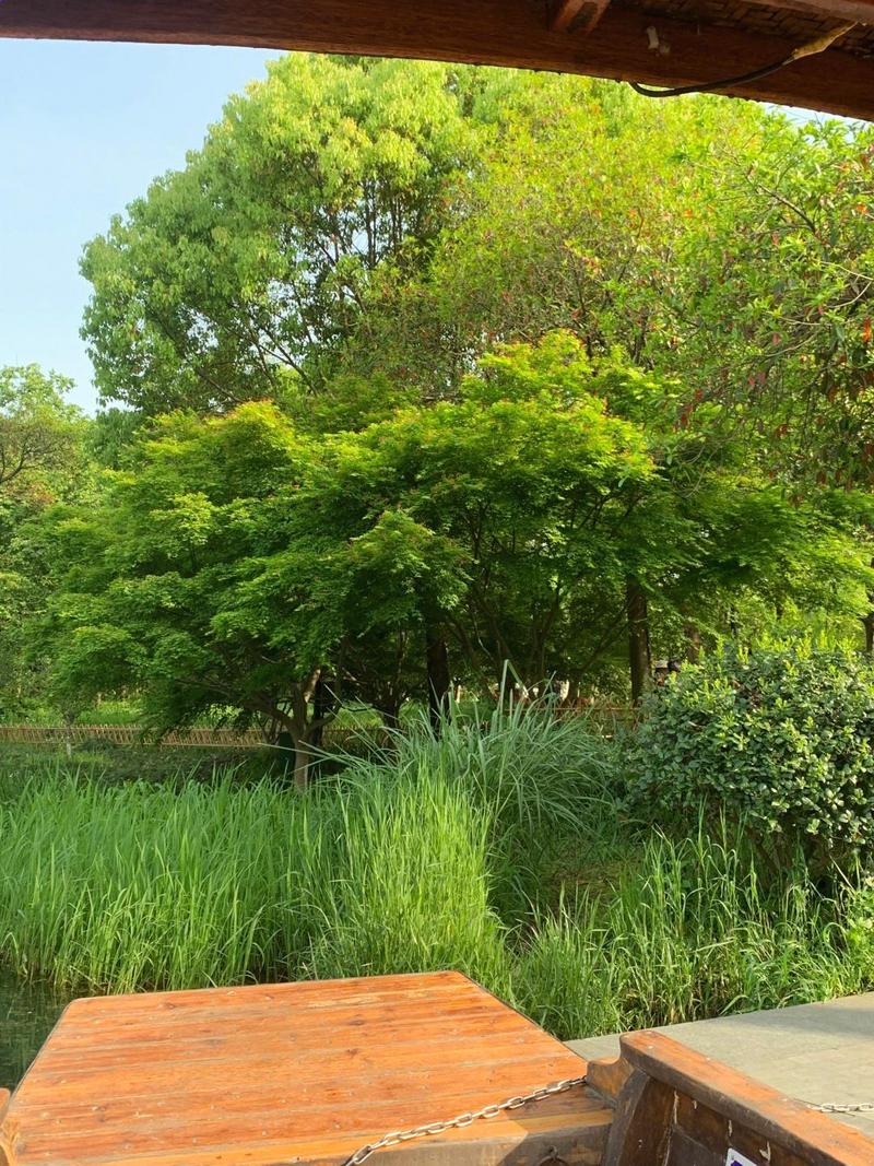 杭州哪里有好玩的旅游景点-第2张图片-星月文旅