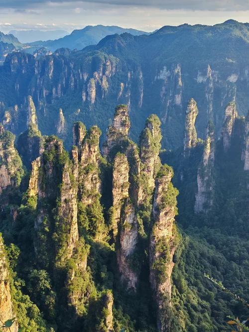 张家界必游景点有哪些?-第1张图片-星月文旅 张家界必游景点有哪些?-第1张图片-星月文旅