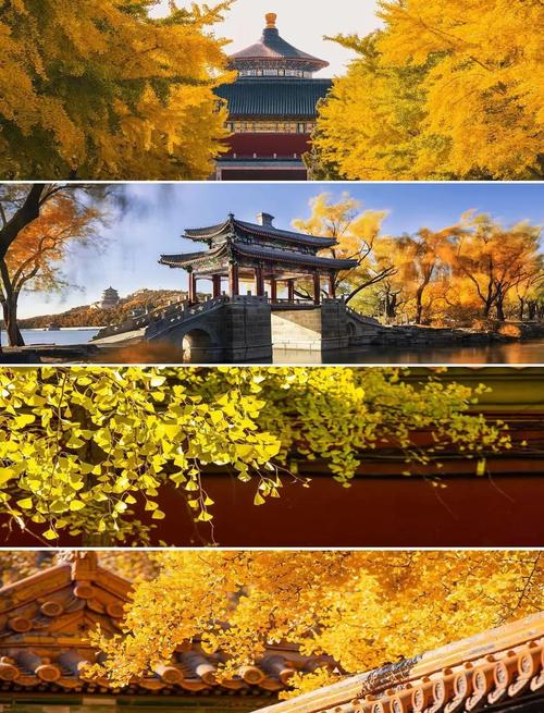 秋天北京必去景点有哪些？-第1张图片-星月文旅
