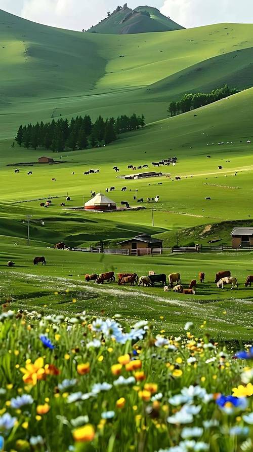 内蒙古大草原旅游景点图片-第3张图片-星月文旅