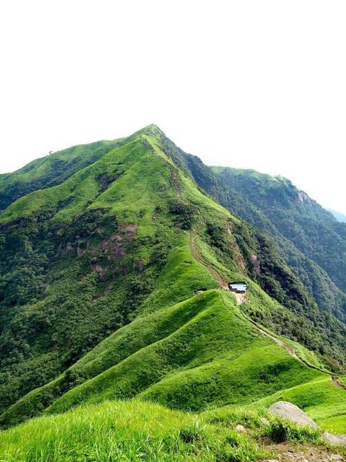 萍乡周边有哪些值得一去的景点?-第2张图片-星月文旅 萍乡周边有哪些值得一去的景点?-第2张图片-星月文旅