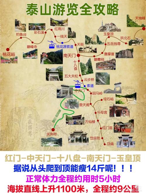 泰山自驾游2025怎么玩最省心？-第2张图片-星月文旅