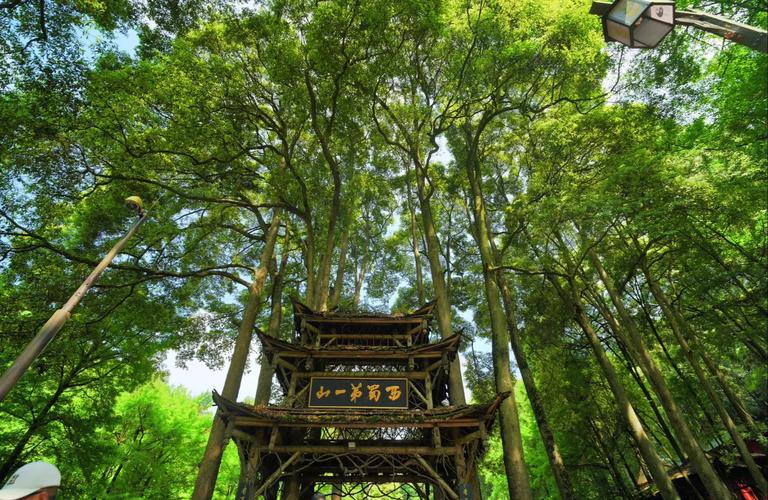 青城山老君阁自驾两日怎么玩？-第1张图片-星月文旅