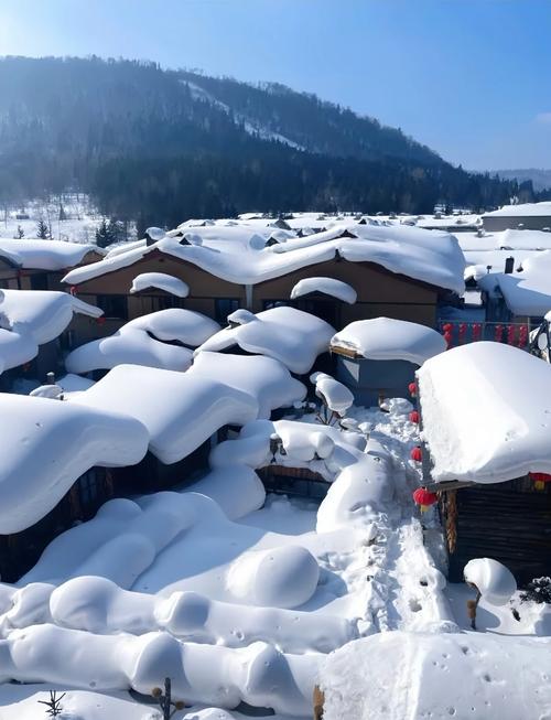 哈尔滨雪乡自由行怎么玩最省心？-第1张图片-星月文旅