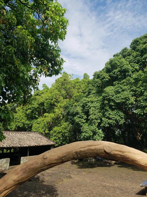 海口有哪些值得一玩的旅游景点？-第3张图片-星月文旅