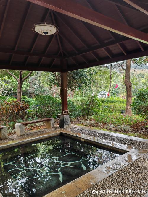 中家鑫园温泉自驾游团购怎么买最划算？-第2张图片-星月文旅