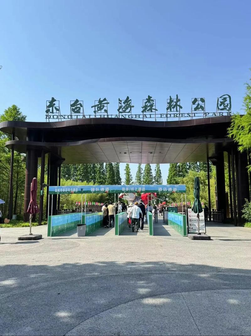 盐城东台旅游景点哪些最值得去？-第3张图片-星月文旅