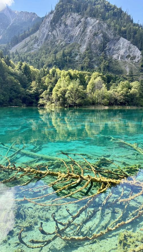 仙女池自驾游路线怎么安排？-第2张图片-星月文旅