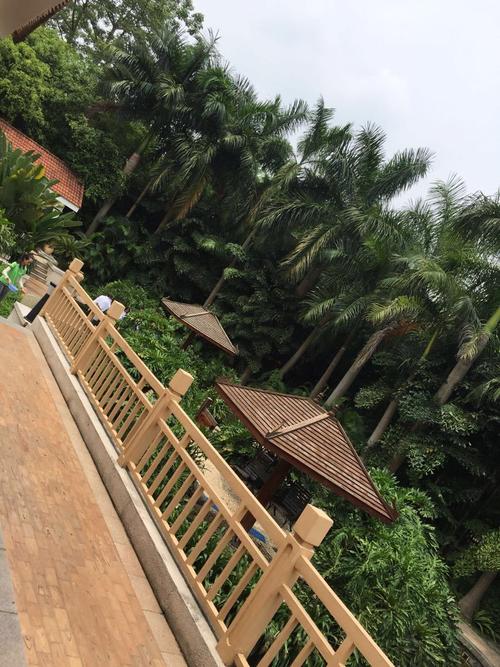 嘉和城温泉谷自驾游怎么玩最尽兴？-第3张图片-星月文旅