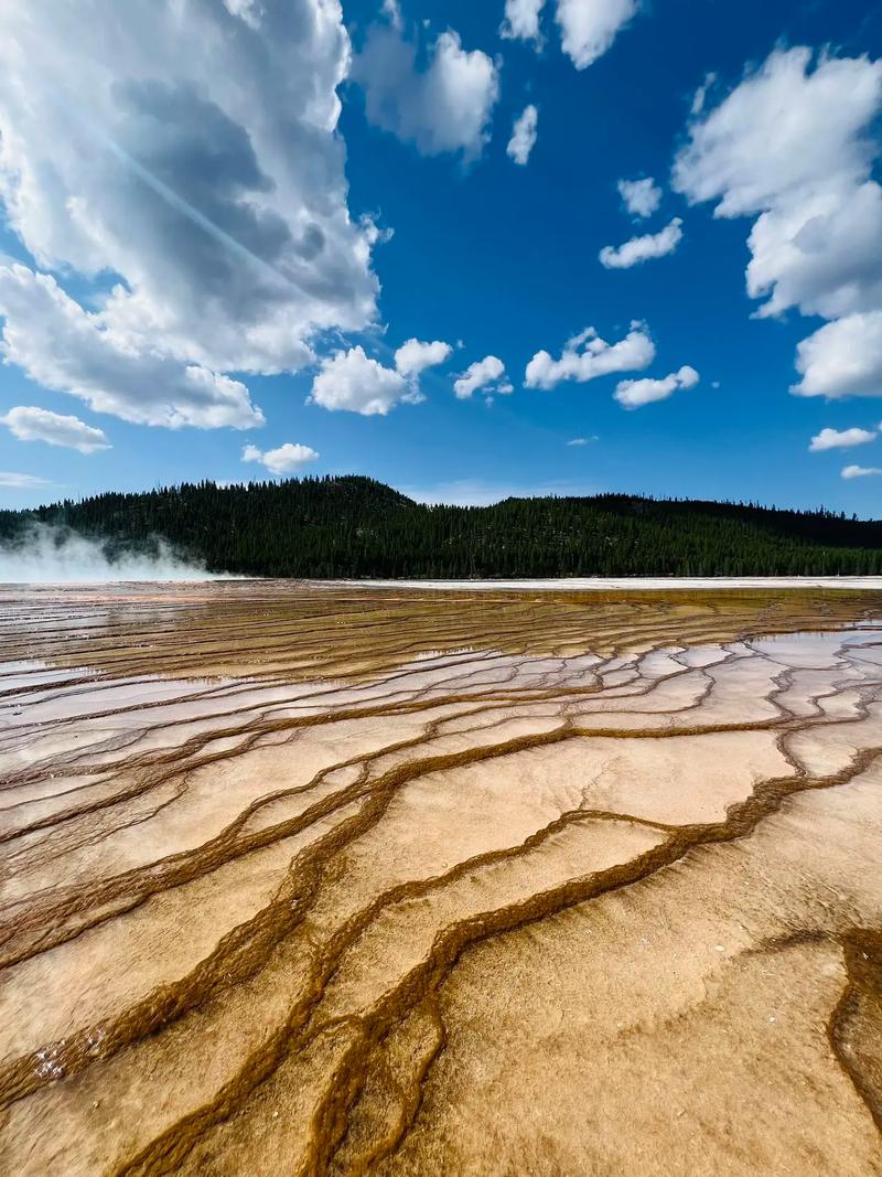 黄石国家公园自驾游怎么规划最省心？-第1张图片-星月文旅