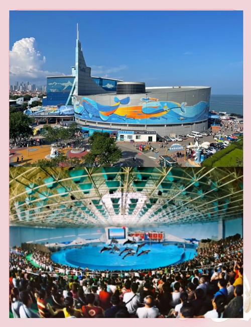 青岛极地海洋世界怎么玩最尽兴？-第1张图片-星月文旅