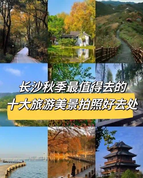 长沙市区旅游景点前十名有哪些?-第2张图片-星月文旅 长沙市区旅游景点前十名有哪些?-第2张图片-星月文旅