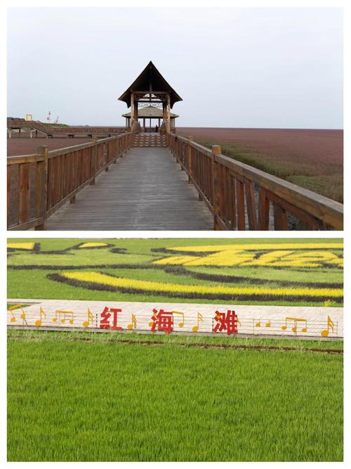 盘锦十一月有哪些好玩的景点？-第2张图片-星月文旅