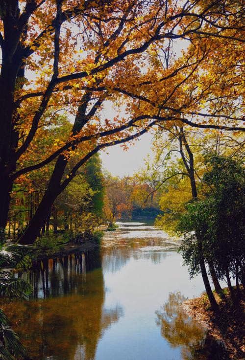 南京秋天必去景点有哪些？-第2张图片-星月文旅