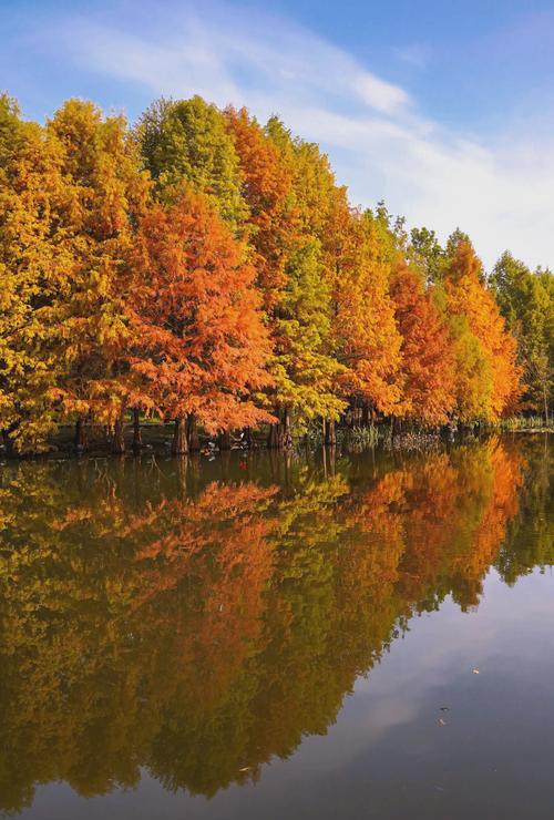 南京秋天必去景点有哪些？-第3张图片-星月文旅