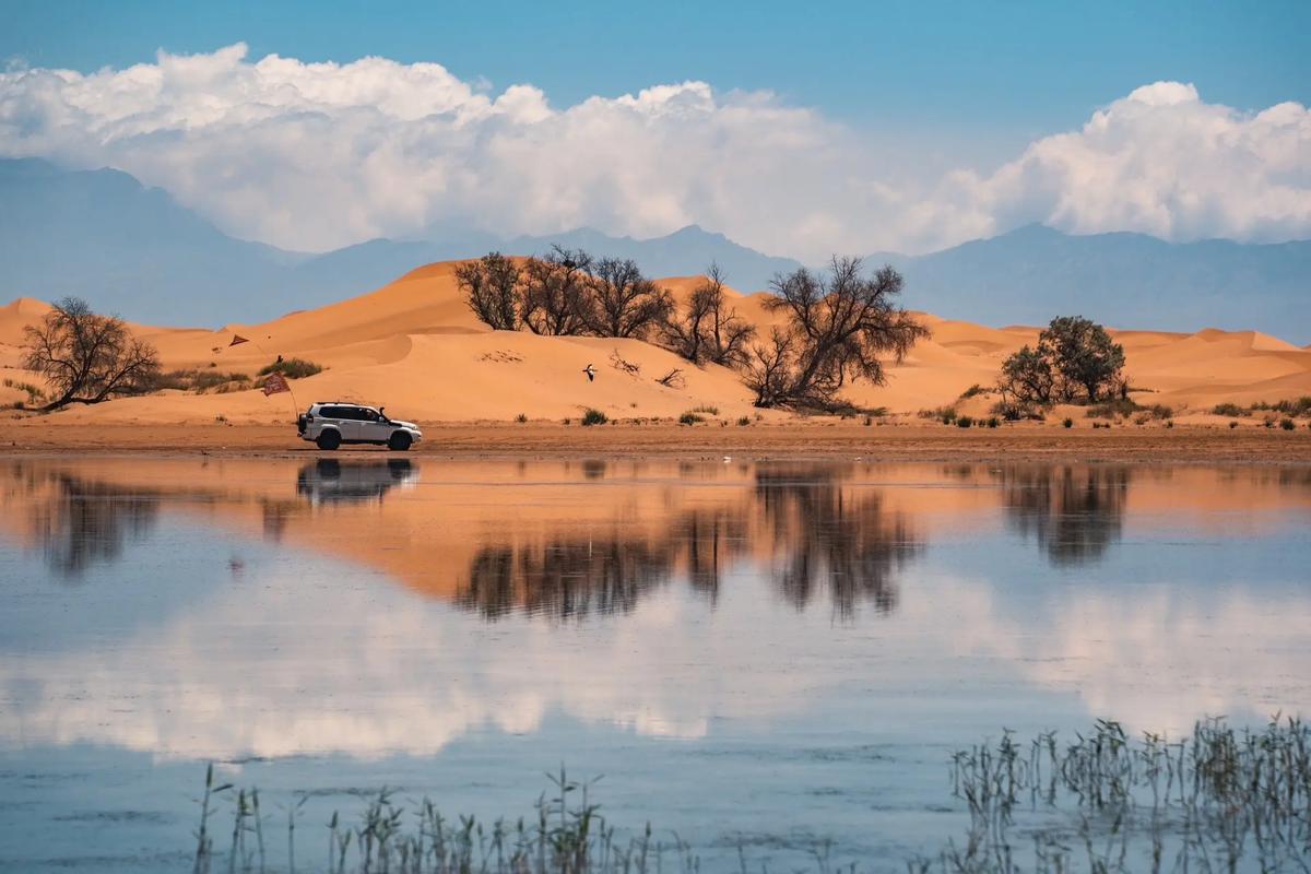 阿拉善必玩景点有哪些？-第2张图片-星月文旅