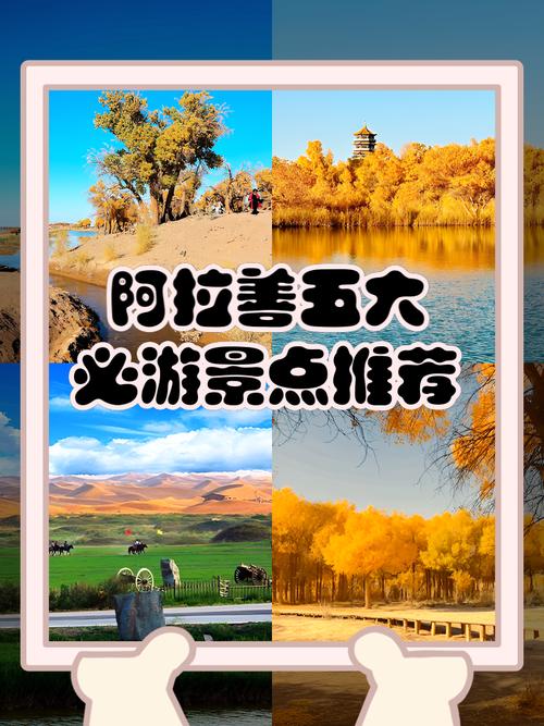 阿拉善必玩景点有哪些？-第1张图片-星月文旅