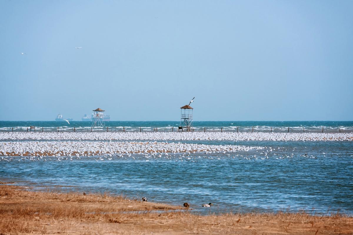 北戴河必玩景点有哪些？-第2张图片-星月文旅