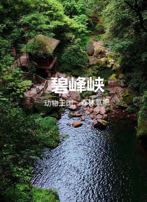 成都到碧峰峡自驾怎么走最顺？-第2张图片-星月文旅