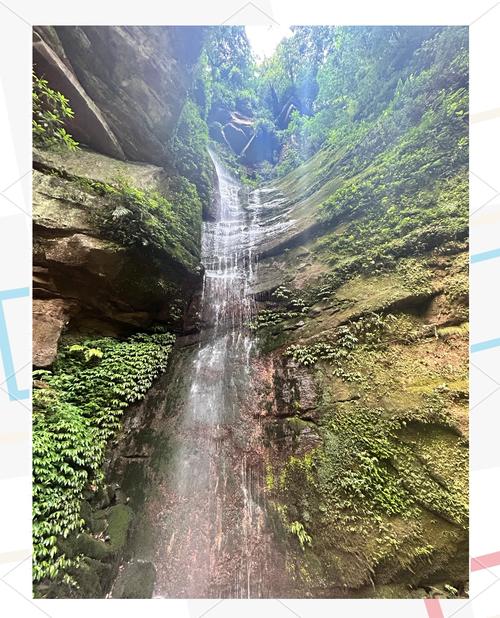 成都到碧峰峡自驾怎么走最顺？-第3张图片-星月文旅