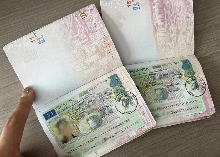 爱尔兰旅游签证攻略有哪些关键步骤？-第3张图片-星月文旅