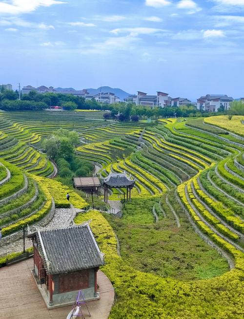 毕节大方县有哪些必游景点？-第1张图片-星月文旅