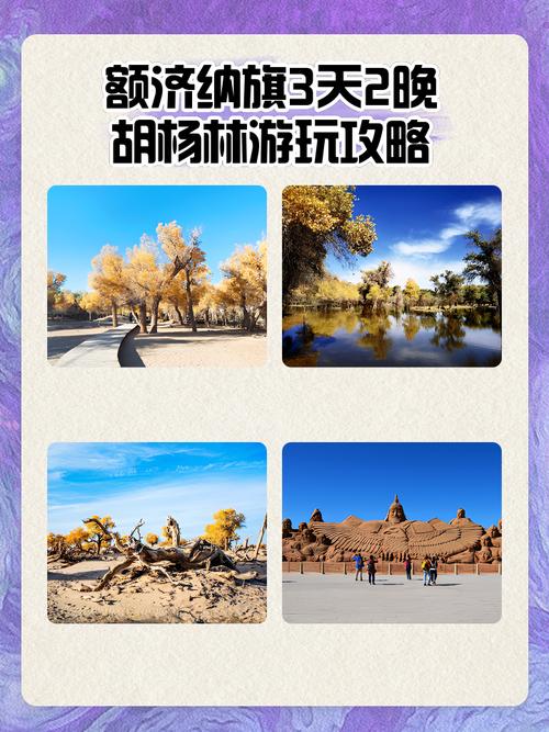 冬天额济纳旗 旅游攻略-第1张图片-星月文旅