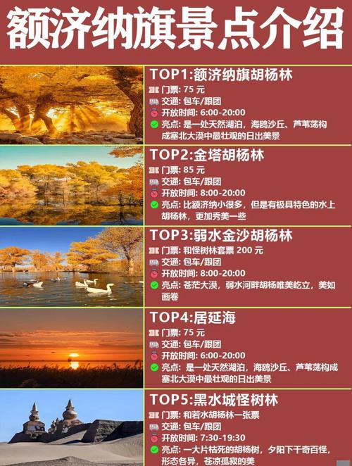 北京到额济纳旗怎么玩？-第3张图片-星月文旅