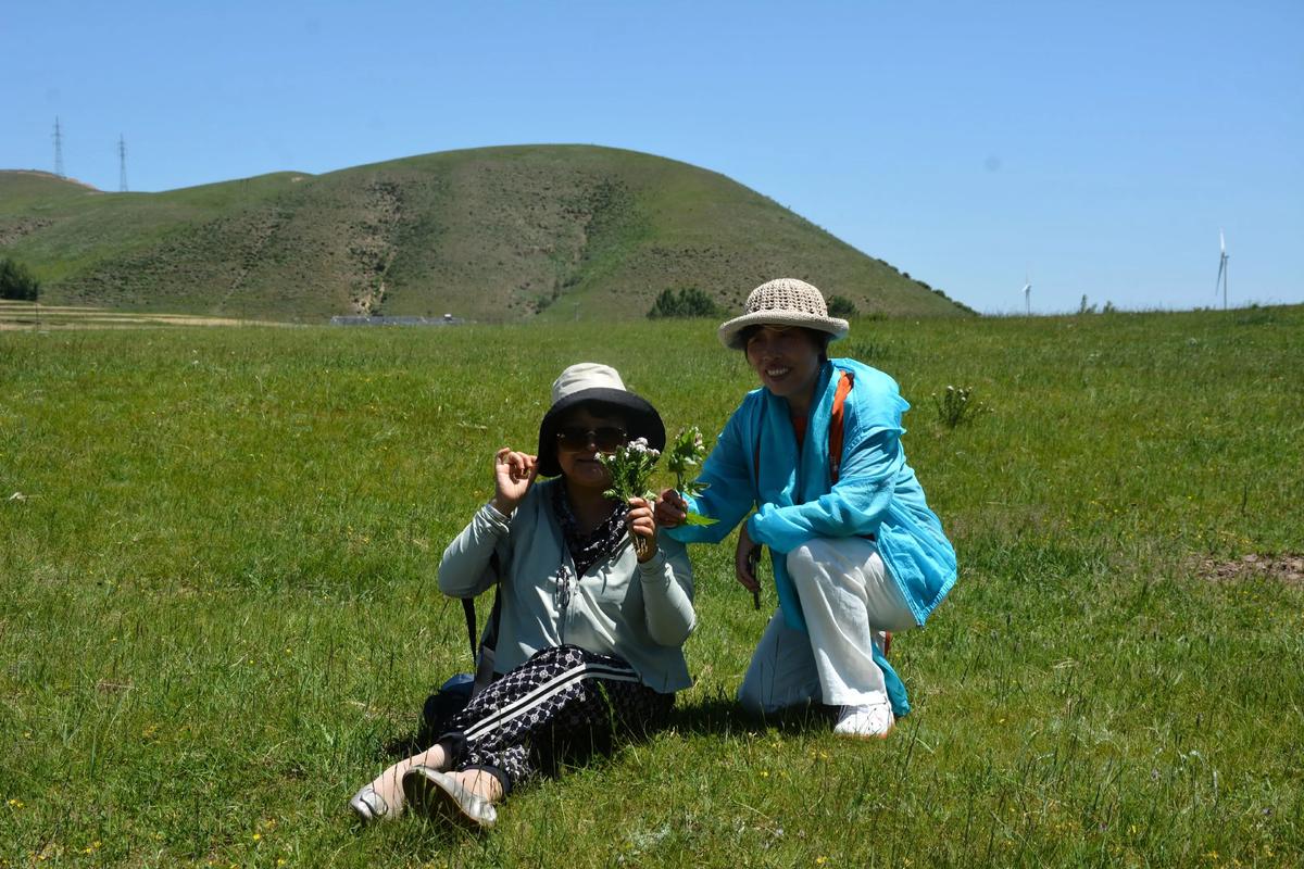 塞罕坝2025旅游怎么玩最尽兴？-第3张图片-星月文旅