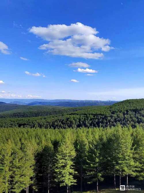 塞罕坝2025旅游怎么玩最尽兴?-第1张图片-星月文旅 塞罕坝2025旅游怎么玩最尽兴?-第1张图片-星月文旅