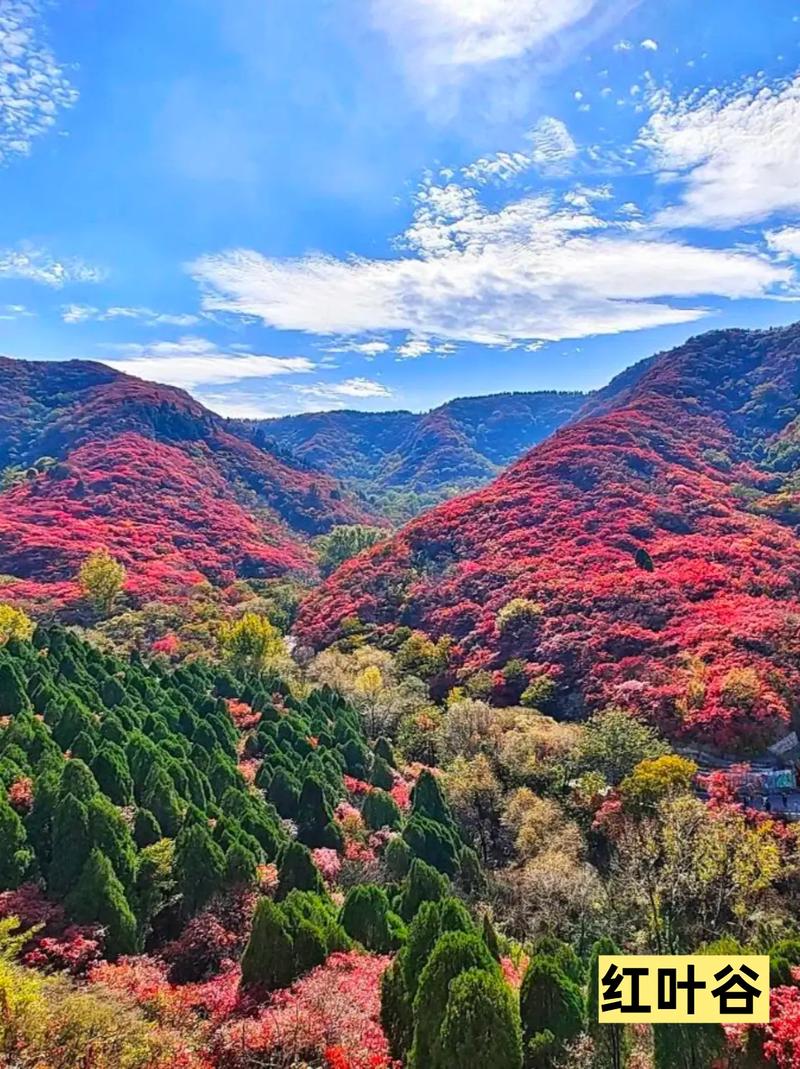 山东旅游景点有哪些?-第2张图片-星月文旅 山东旅游景点有哪些?-第2张图片-星月文旅