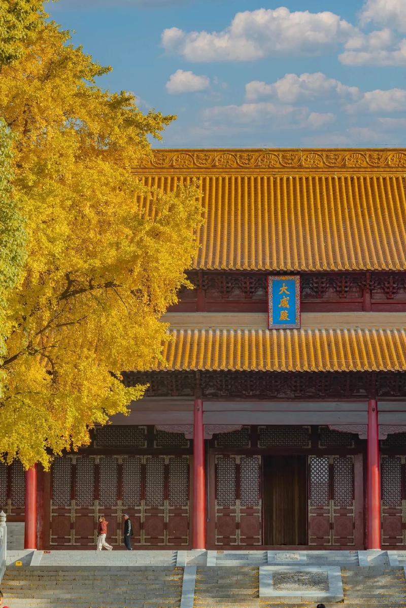 南京11月必游景点有哪些？-第1张图片-星月文旅