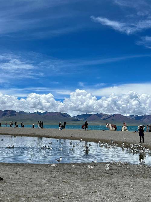 西藏旅游攻略秋季怎么玩最合适？-第3张图片-星月文旅