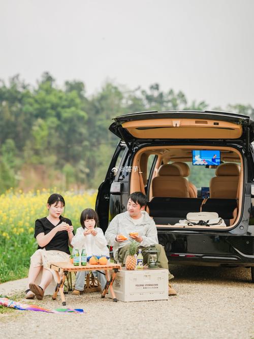 五一小明全家自驾游，去了哪里？-第1张图片-星月文旅