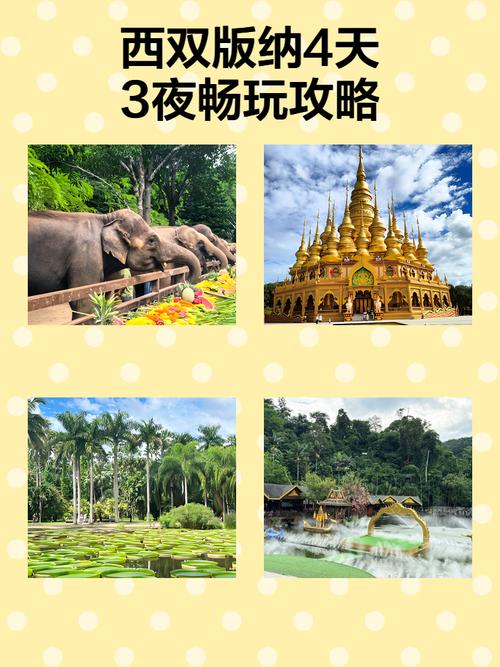 西双版纳4天自驾游路线怎么安排？-第1张图片-星月文旅