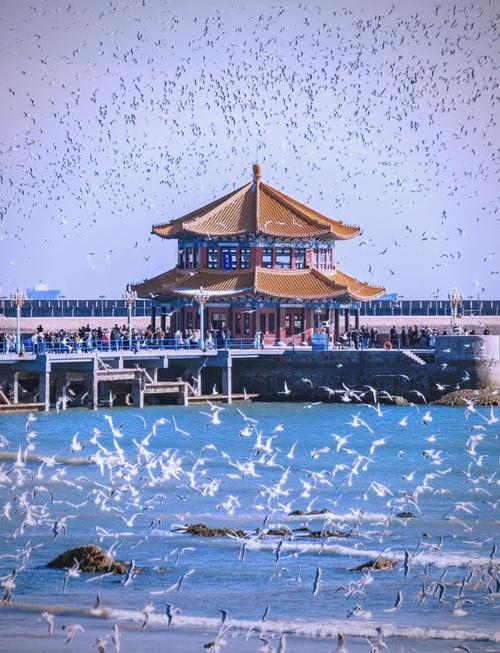 青岛有哪些值得一玩的旅游景点？-第3张图片-星月文旅