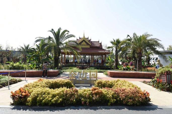 合肥去柬埔寨旅游怎么玩？-第1张图片-星月文旅