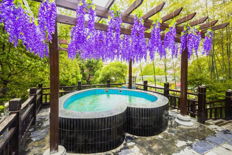 楚天瑶池温泉自驾游团购多少钱？-第3张图片-星月文旅