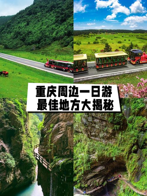 重庆周边1天自驾游去哪玩？-第2张图片-星月文旅