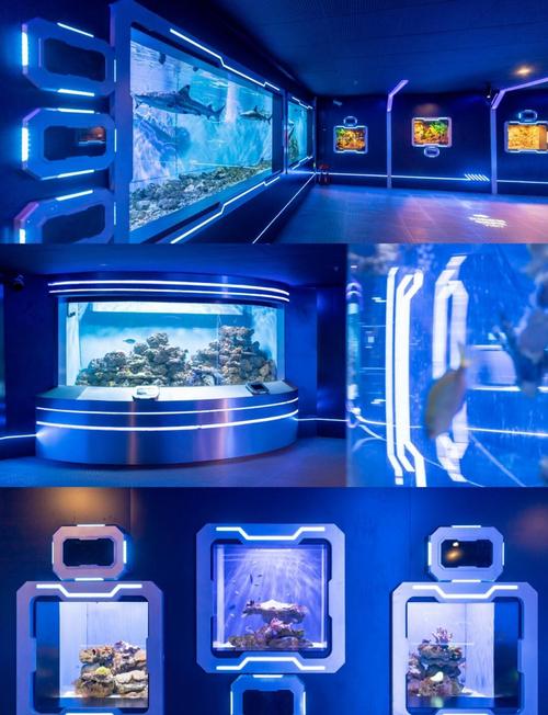 圣亚海洋世界自驾游怎么玩最省心？-第1张图片-星月文旅