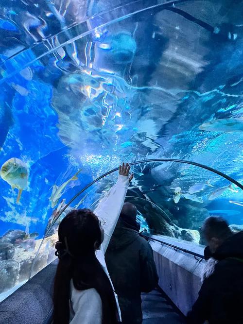 圣亚海洋世界自驾游怎么玩最省心？-第2张图片-星月文旅