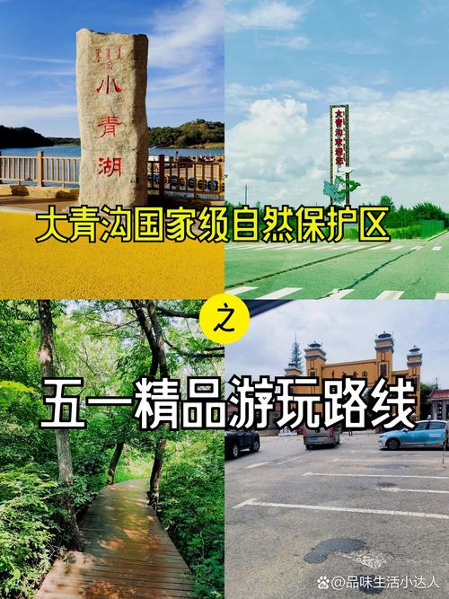 长春到大青沟自驾游怎么安排最省心?-第1张图片-星月文旅 长春到大青沟自驾游怎么安排最省心?-第1张图片-星月文旅