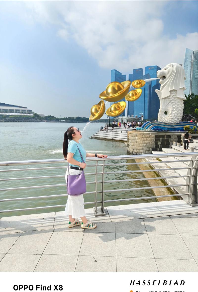 新加坡必去景点有哪些？-第2张图片-星月文旅