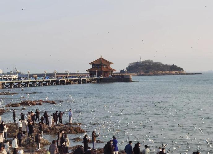 石家庄到青岛自驾游路线怎么规划？-第3张图片-星月文旅