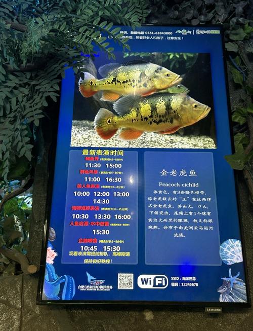 海洋温泉双人自驾游套票值吗？-第3张图片-星月文旅